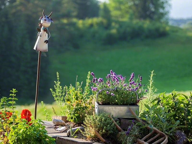 Ferienwohnung Roislerlehen بيسخوفسويسن المظهر الخارجي الصورة