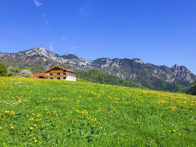 Ferienwohnung Roislerlehen بيسخوفسويسن المظهر الخارجي الصورة