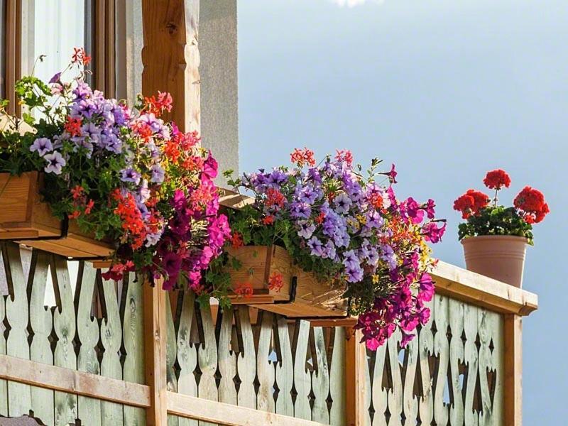 Ferienwohnung Roislerlehen بيسخوفسويسن المظهر الخارجي الصورة